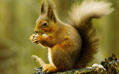 �����n���̰������x8ƪ��