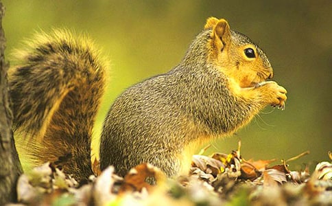 ������ɹ��n�r�̰�