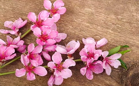 �����]���x���һ���ľ���и�