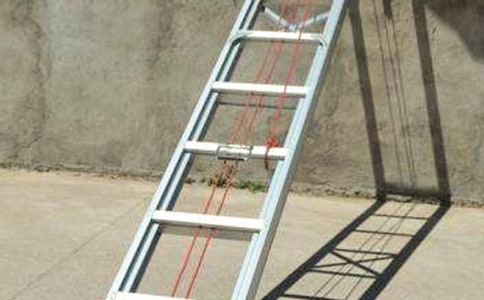 ��(m��ng)�����������800��