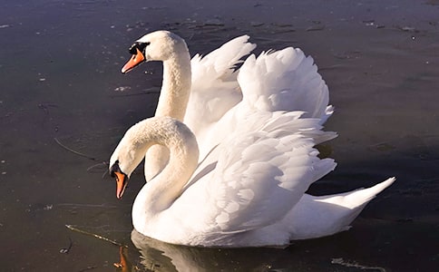 �������Z�tɺ����С�W(xu��)���x���