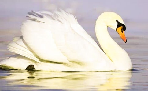 ��С̖(h��o)�����Z�x���700��