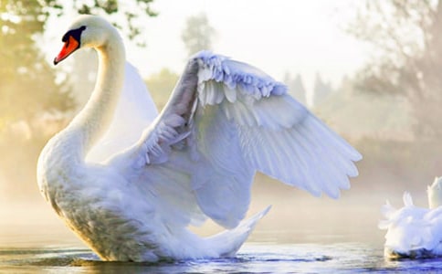 С̖(h��o)���Z�x���