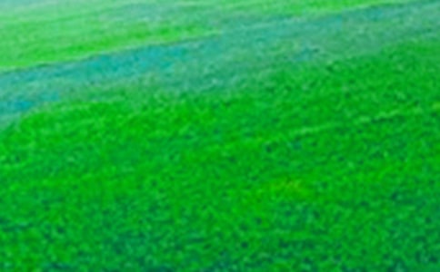 ����Ұ�Ę䡷��(x��)�}����