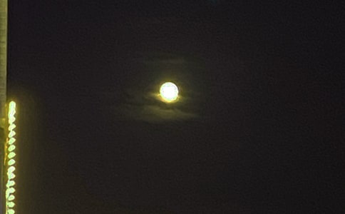 ����Ψ���������Z45�侫�x