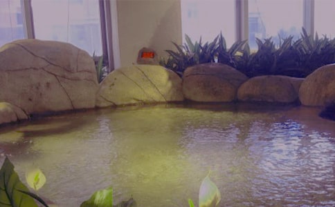 �ݜ�Ȫ��ӛ300��