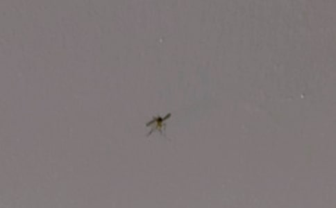 ���ӵĆ�ʾ��(y��u)����ӛ