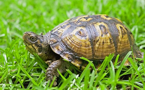 �а����̰������њ��G���Ğ�����