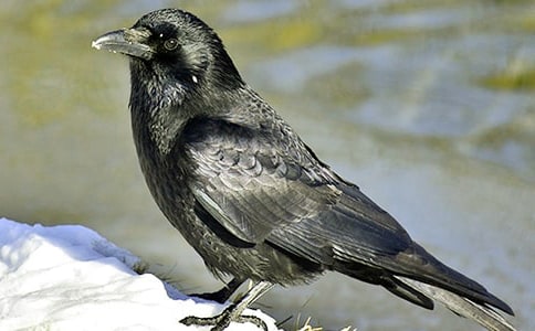 ���P(gu��n)�����f��ˮ���̰���ƪ