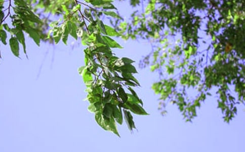 2023������ϵ�簲�����Z33�l