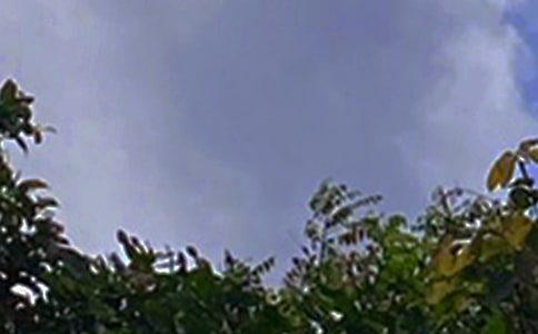 2025年治愈系午安微信問候語集合51條