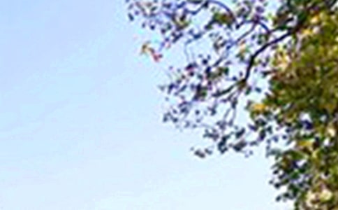 Ψ�����簲΢�ņ����Z48�l