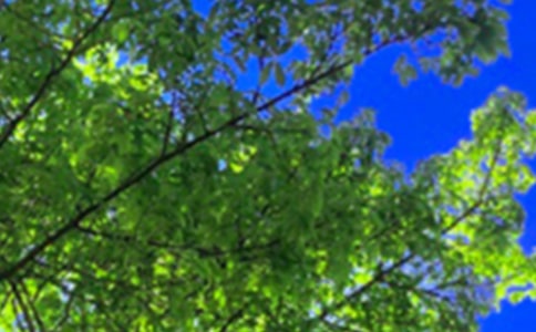 Ψ���簲�f�f160��