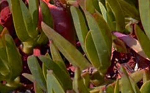 2024�ꃞ(y��u)�����簲QQ�����Z38�l