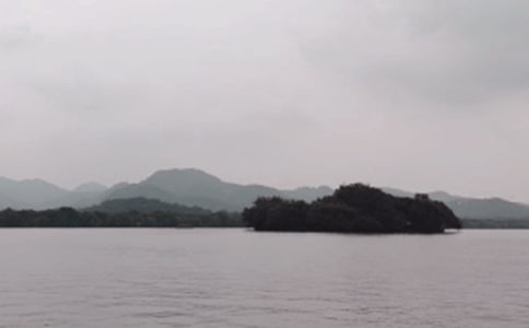 �����Č�(d��o)���~700�֣����x5ƪ��