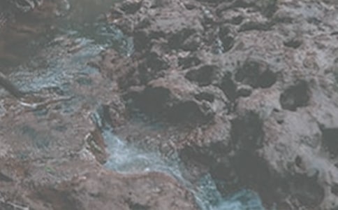 《小溪流的歌》教學(xué)反思