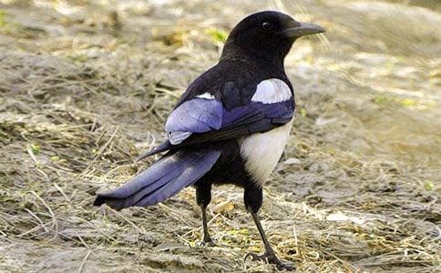 һ�꼉(j��)��(c��)�̰�����(sh��)��ϲ�o����ͨ��7ƪ��