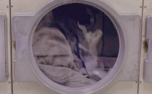 �а�ˇ�g(sh��)��ϴ�C���̰�