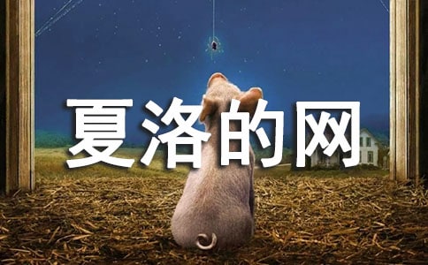 �����е�֩�����塪��������ľW(w��ng)���x���