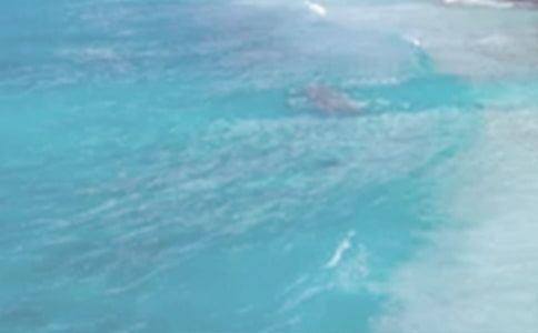 ���ս^��ԭ�ķ��g���p������6ƪ