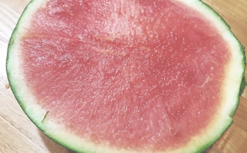 �����^�������]�ٶU�����g�p��