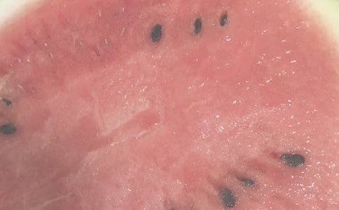 ����ɽ��ԭ�ķ��g���p�����\2ƪ