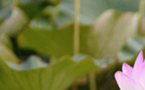 �P(gu��n)���׃��@���������̰���ͨ��7ƪ��