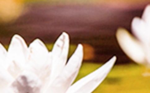 �������}�İ�190��