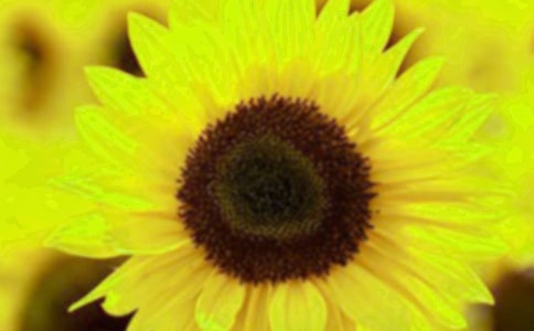 ���տ���ͨ�DƬ���P��