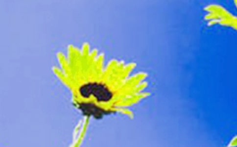 �����տ���ʯ�^���x���650��