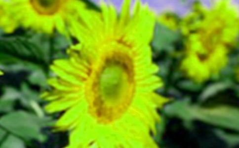 ��ħ�����տ����x���