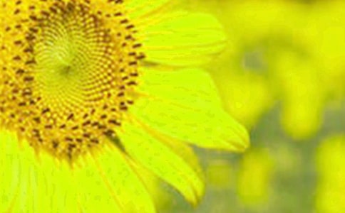 ���տ����ă�(y��u)�㡾15ƪ��