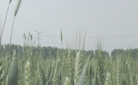 ��݆���ϵ���С�������x���