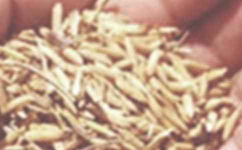 С��?zh��n)��ŗ������S�P