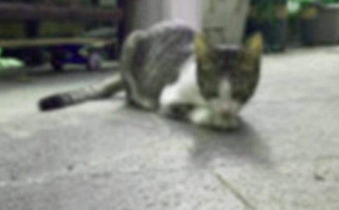 �����_��������С؈�����x���