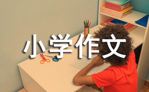 我的老爸小學(xué)作文(精選13篇)