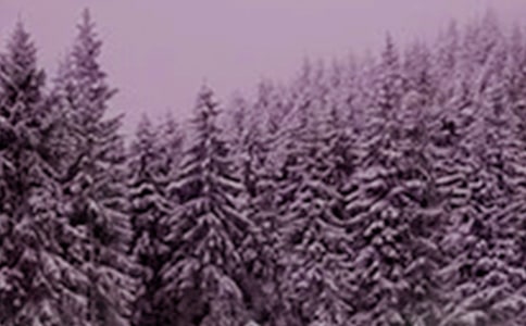 Сѩ��(ji��)�����ˇ���̾���