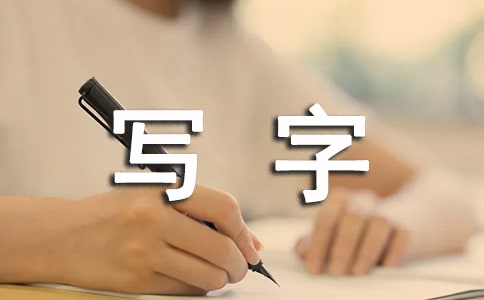 《丁丁學(xué)寫字》課程教學(xué)反思