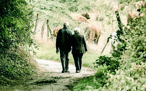 �茑������ò����