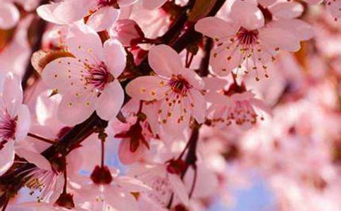 �ѻ���Ҋ(ji��n)�Ĳ��x(ch��ng)�����ο��Y(ji��)