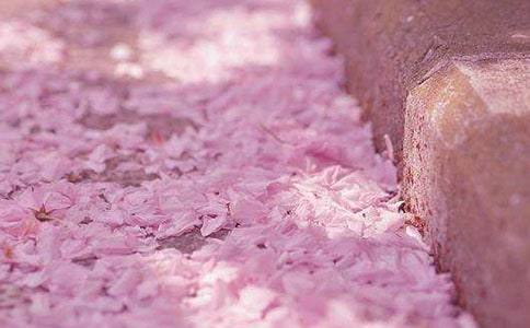 �茑�ѻ���Ԋ(sh��)��