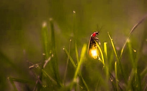 ���W����Ξ���x���x��У�ͨ��16ƪ��