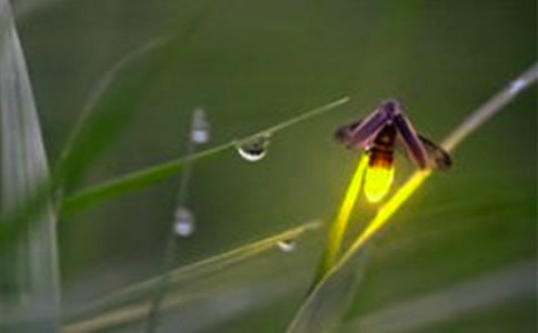 ��Ξ���x֮Ĺ���x���500��