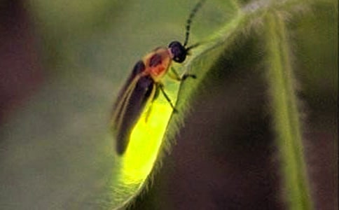 ���W����Ξ���x���x��У����x8ƪ��