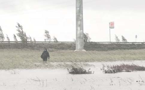 《微藻可循環(huán)的綠色油田》練習(xí)題及答案