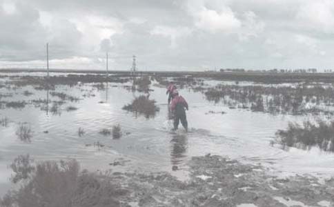 我的油田我的家愛崗敬業(yè)征文