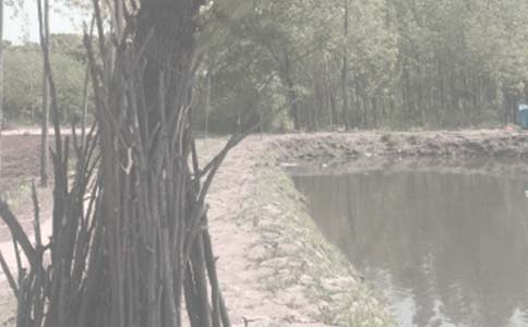 魚塘承包協(xié)議書(集錦13篇)