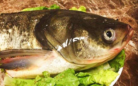 ����ϲ�g���~(y��)�^���꼉(j��)�x���