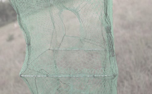 《印出的漁網(wǎng)》教案