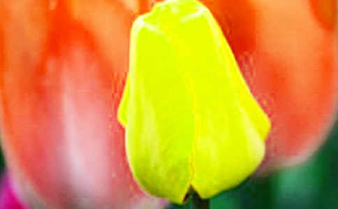 ٝ�����������ľ��Ӿ��x